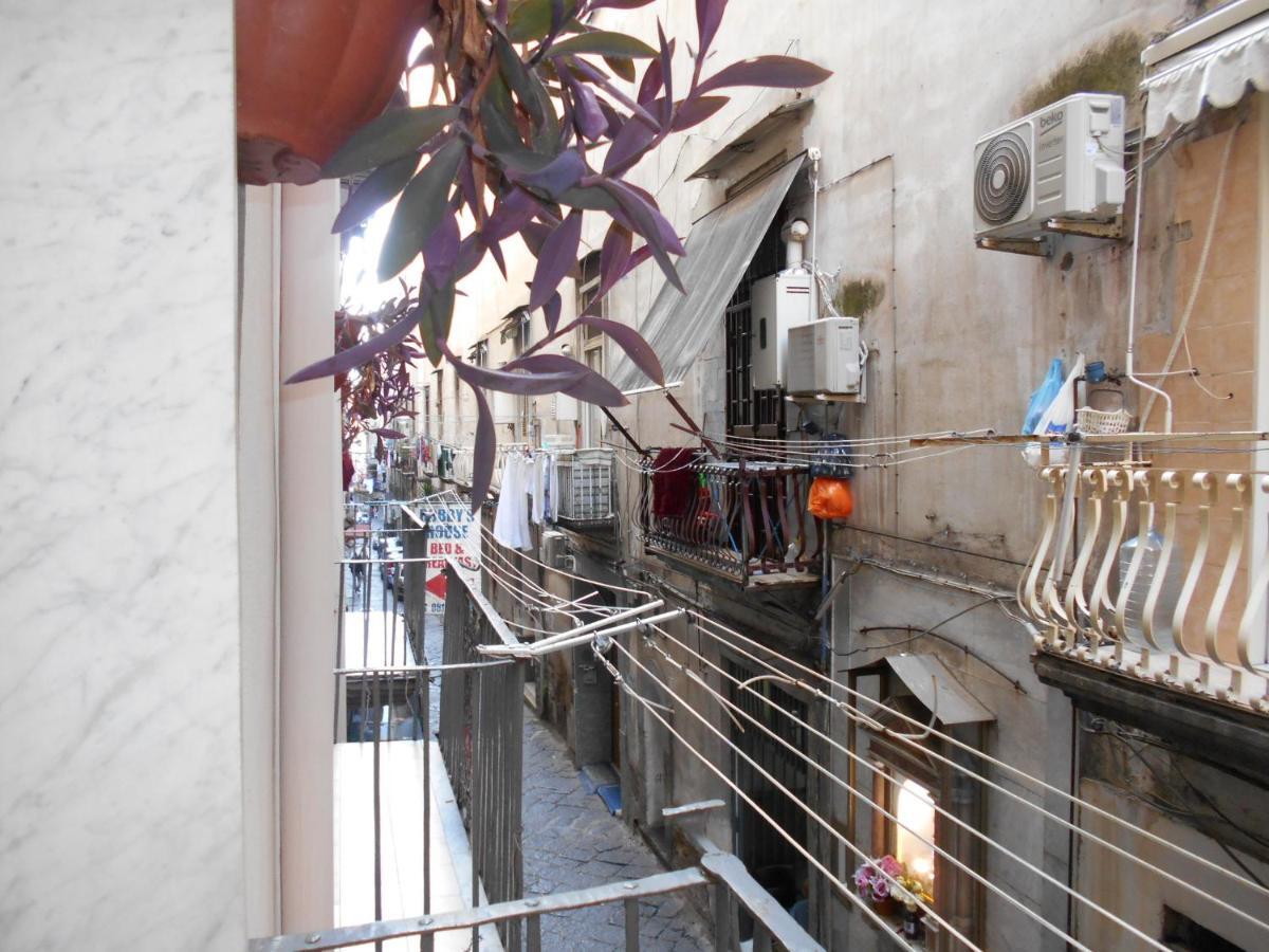 Robby'S House Bed & Breakfast Vico Equense Εξωτερικό φωτογραφία